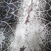 PRINT